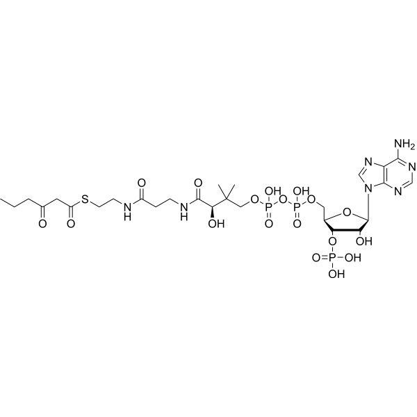 3-Ketohexanoyl-CoA (3-Hydroxypropionyl-CoA) 19774-86-8